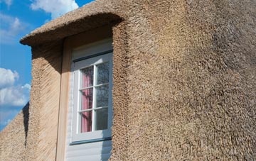 Palfrey thatch roof disadvantages