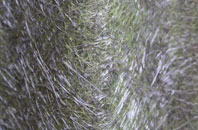 Palfrey fibreglass roof work